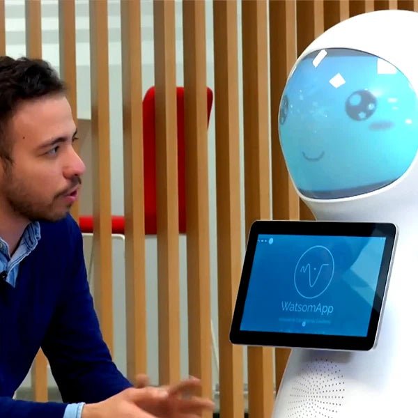 Alpha Robotics School Guide Robot Snow – AI-Powered Campus Navigation and Safety Assistant - Image 6