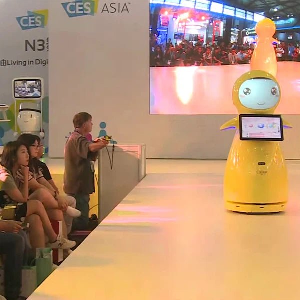 Alpha Robotics School Guide Robot Snow – AI-Powered Campus Navigation and Safety Assistant - Image 7