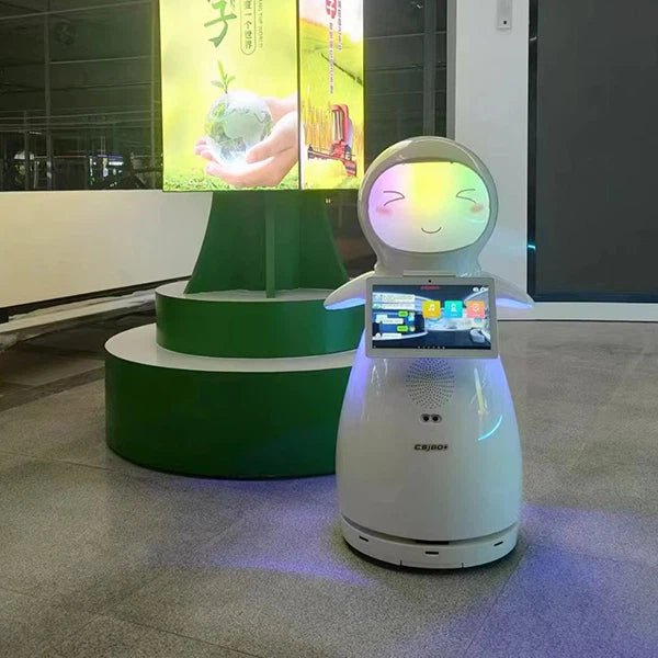 Alpha Robotics School Guide Robot Snow – AI-Powered Campus Navigation and Safety Assistant - Image 8