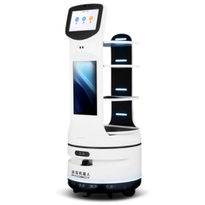 Food Delivery Robot W3s