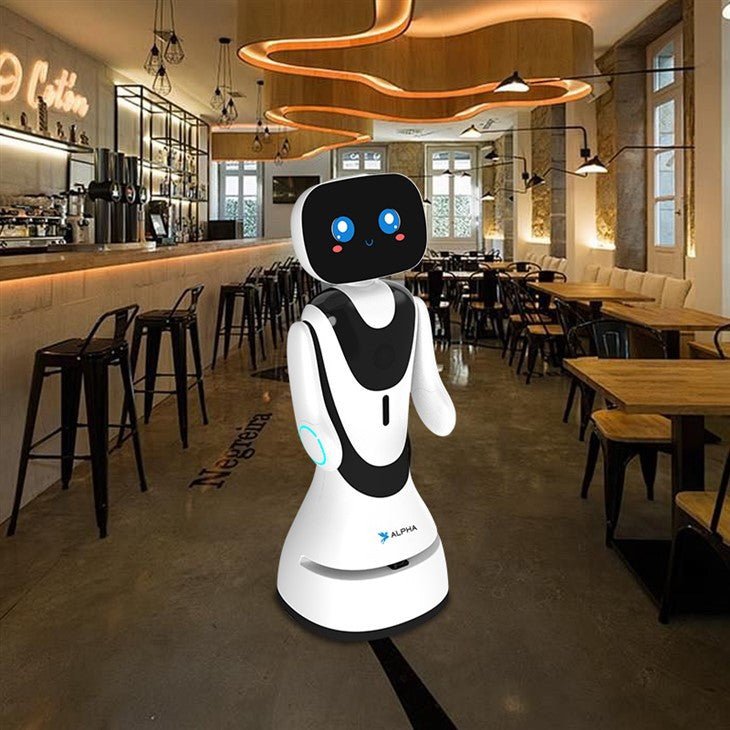 Alpha Robotics Hotel Reception Robot Timo – 13.3-inch Touchscreen Multilingual Hospitality Assistant - Image 4